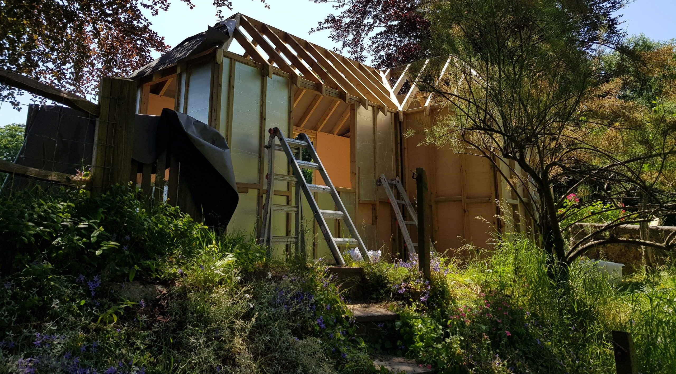 20180613_120435-scaled-e1771688895273